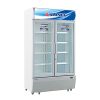 Tủ mát 2 cánh ALASLA LC-800C